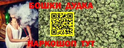 стафф Будённовск