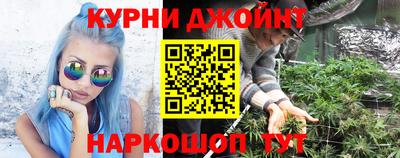 стафф Будённовск