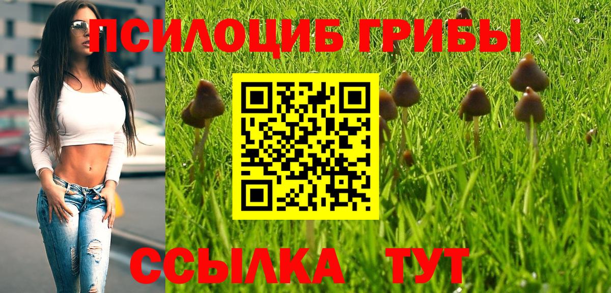 Галлюциногенные грибы мухоморы Копейск
